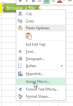 Assign Macro in Excel