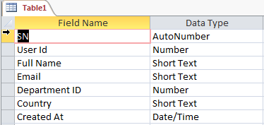 VBA Code to Export Access Recordset to Excel