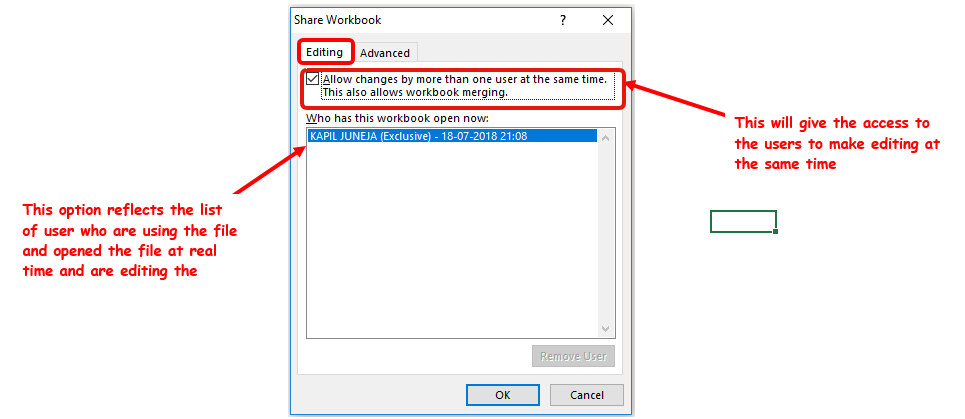 Protect Sheets, Share Workbook, Protect Workbook
