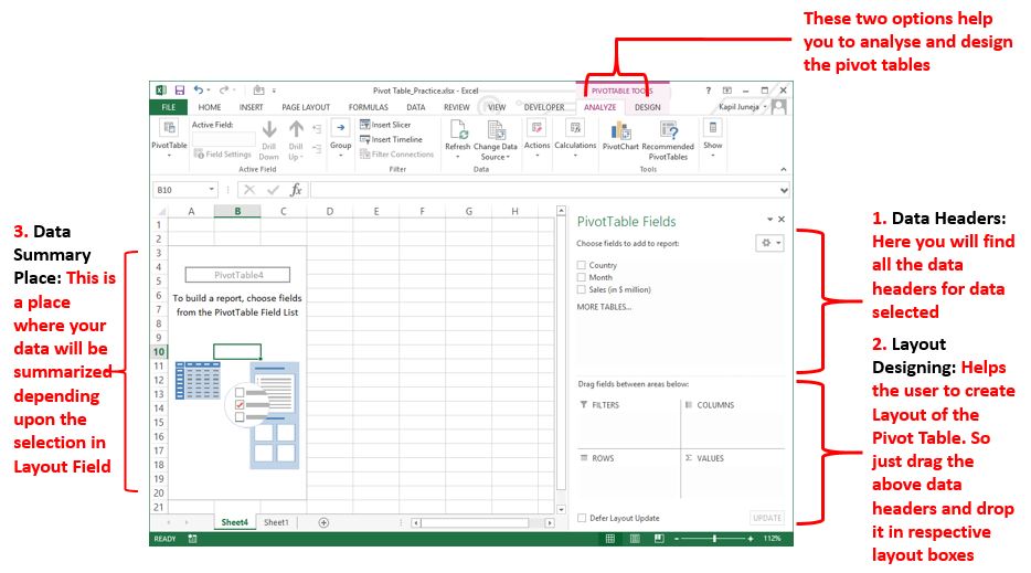 Pivot Table Fields and Layout